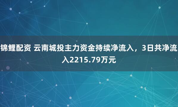 锦鲤配资 云南城投主力资金持续净流入，3日共净流入2215.79万元