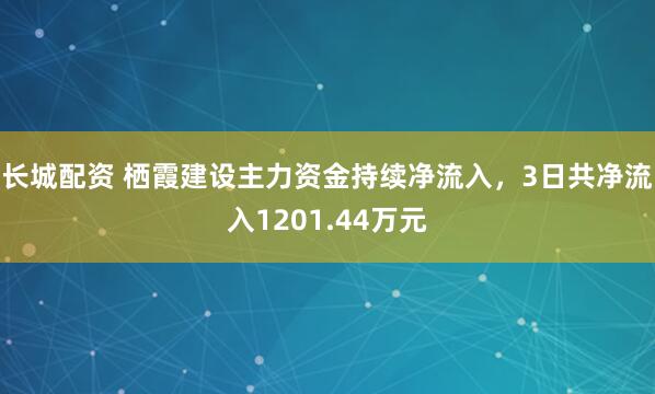 长城配资 栖霞建设主力资金持续净流入，3日共净流入1201.44万元